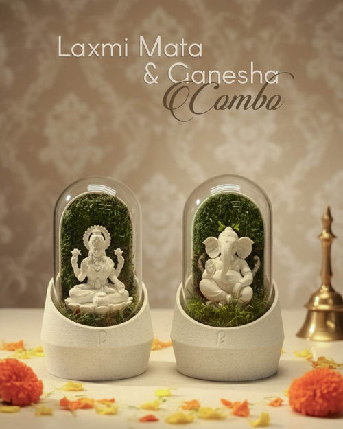 Laxmi Mata & Ganesha's Combo [Diwali Special] - Perfect Plants