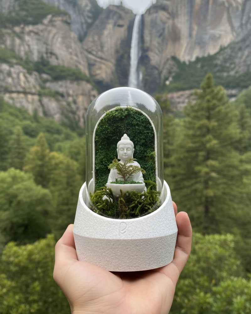 Calming Buddha's Dome displayed on a wooden table, enhancing the tranquil decor in any indoor space.