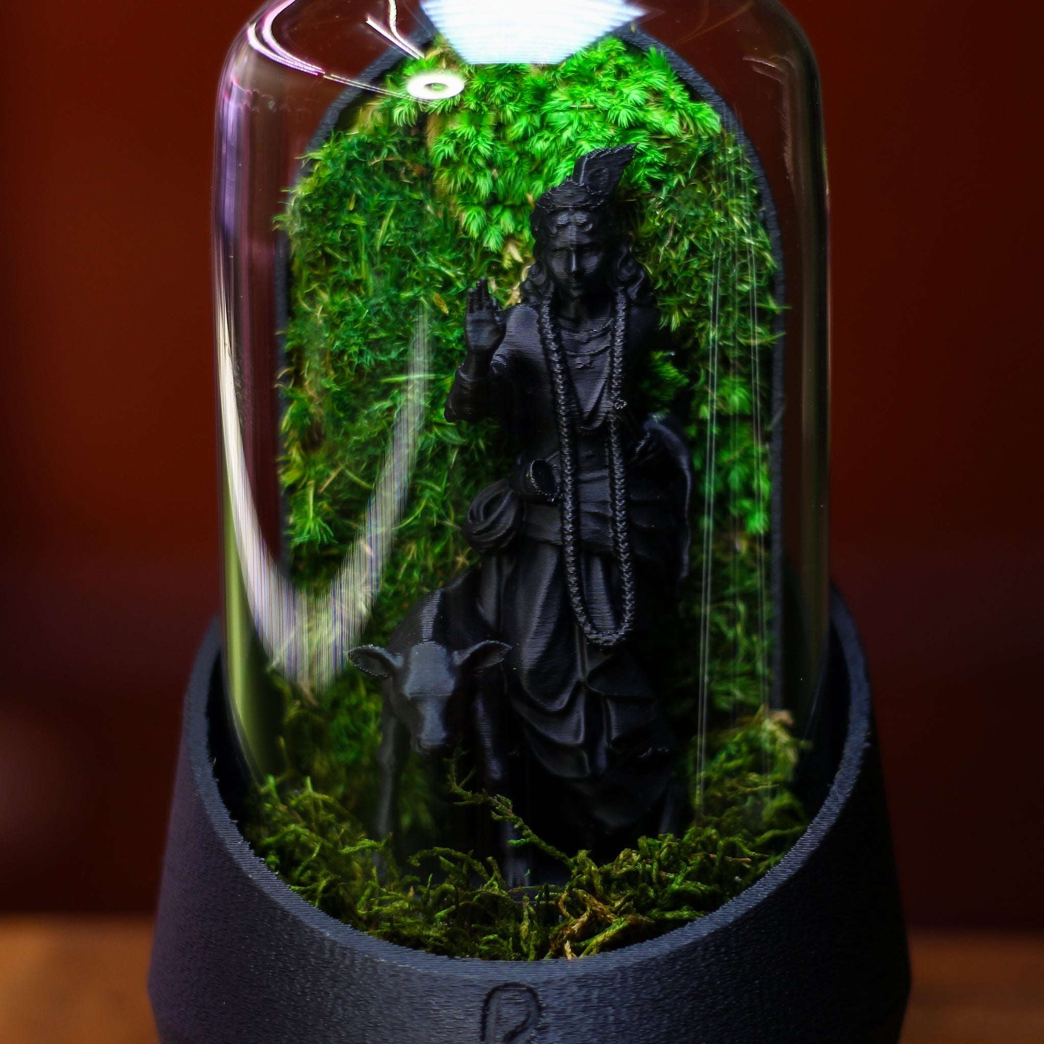 Krishna's Dome Terrarium