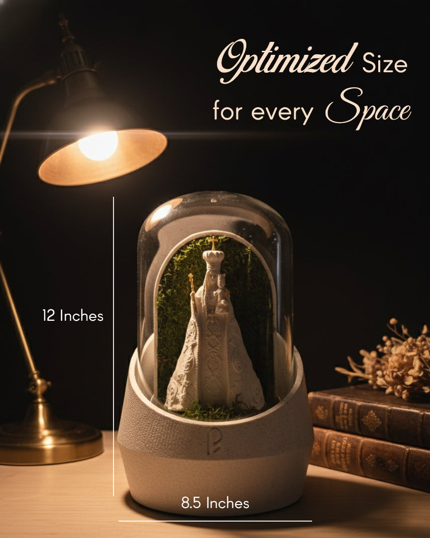 Lady of Good Health Velankanni's Dome