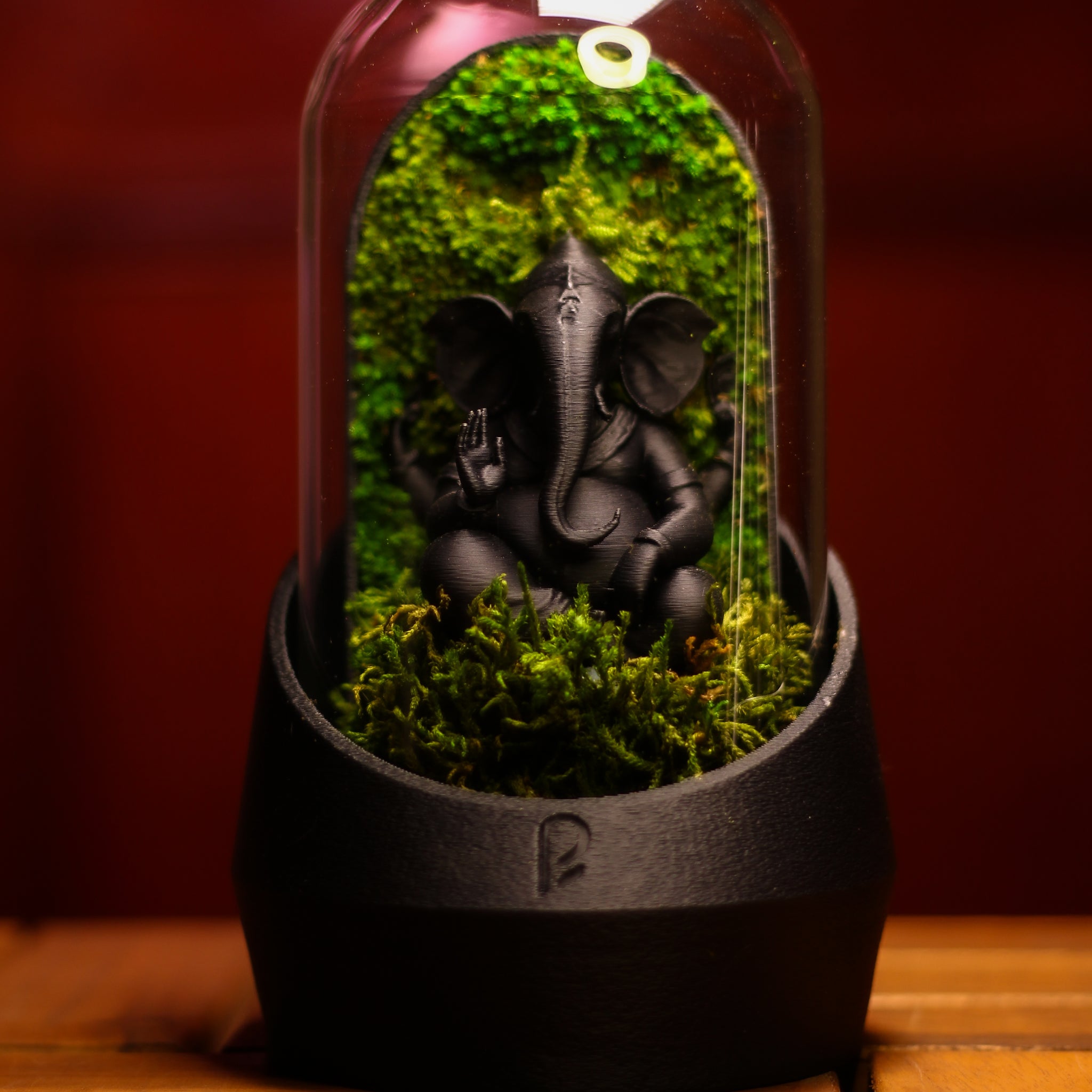Ganesha's Dome Terrarium Black