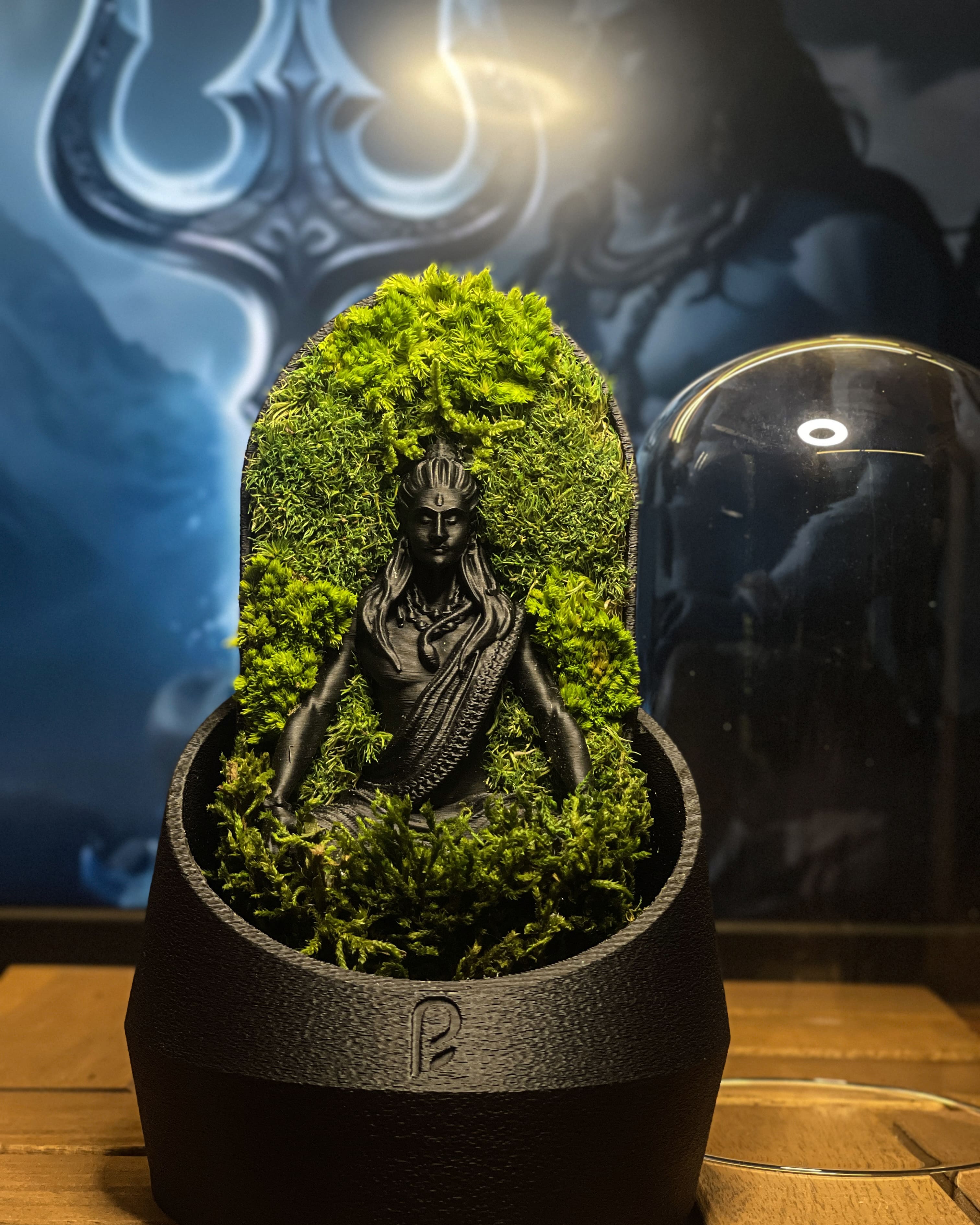 Shiva's Dome Terrarium