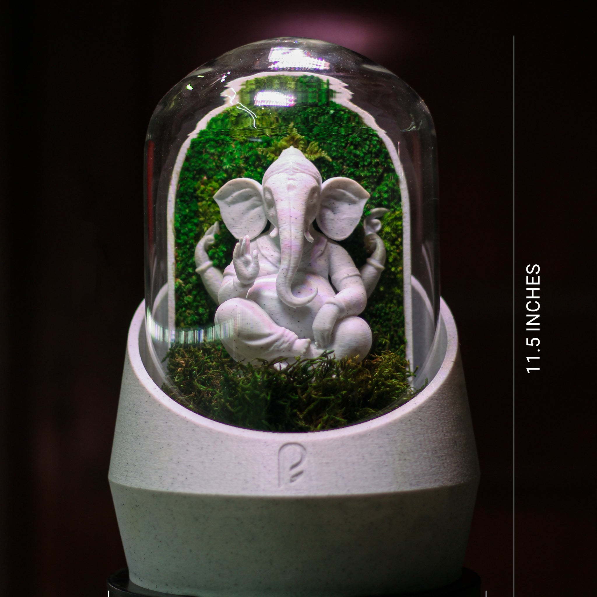 Ganesha's Dome XL