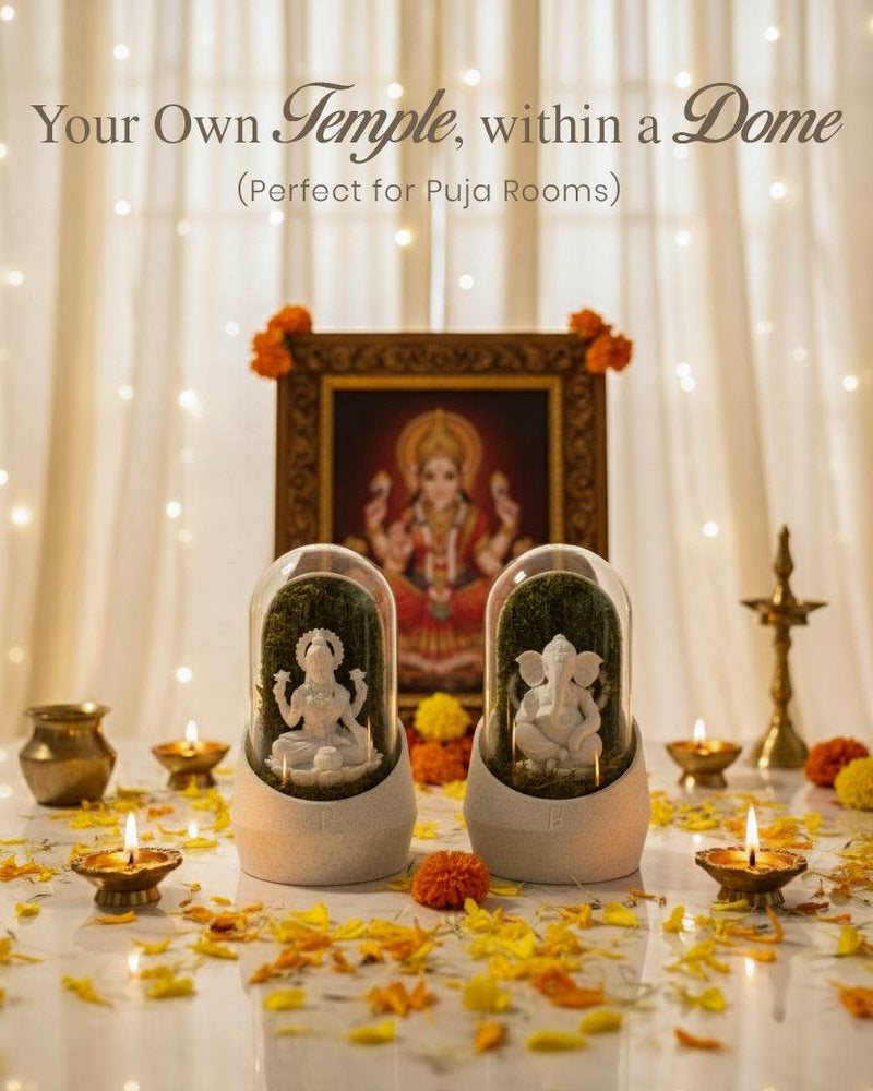 Laxmi Mata & Ganesha's Combo [Diwali Special] - Perfect Plants