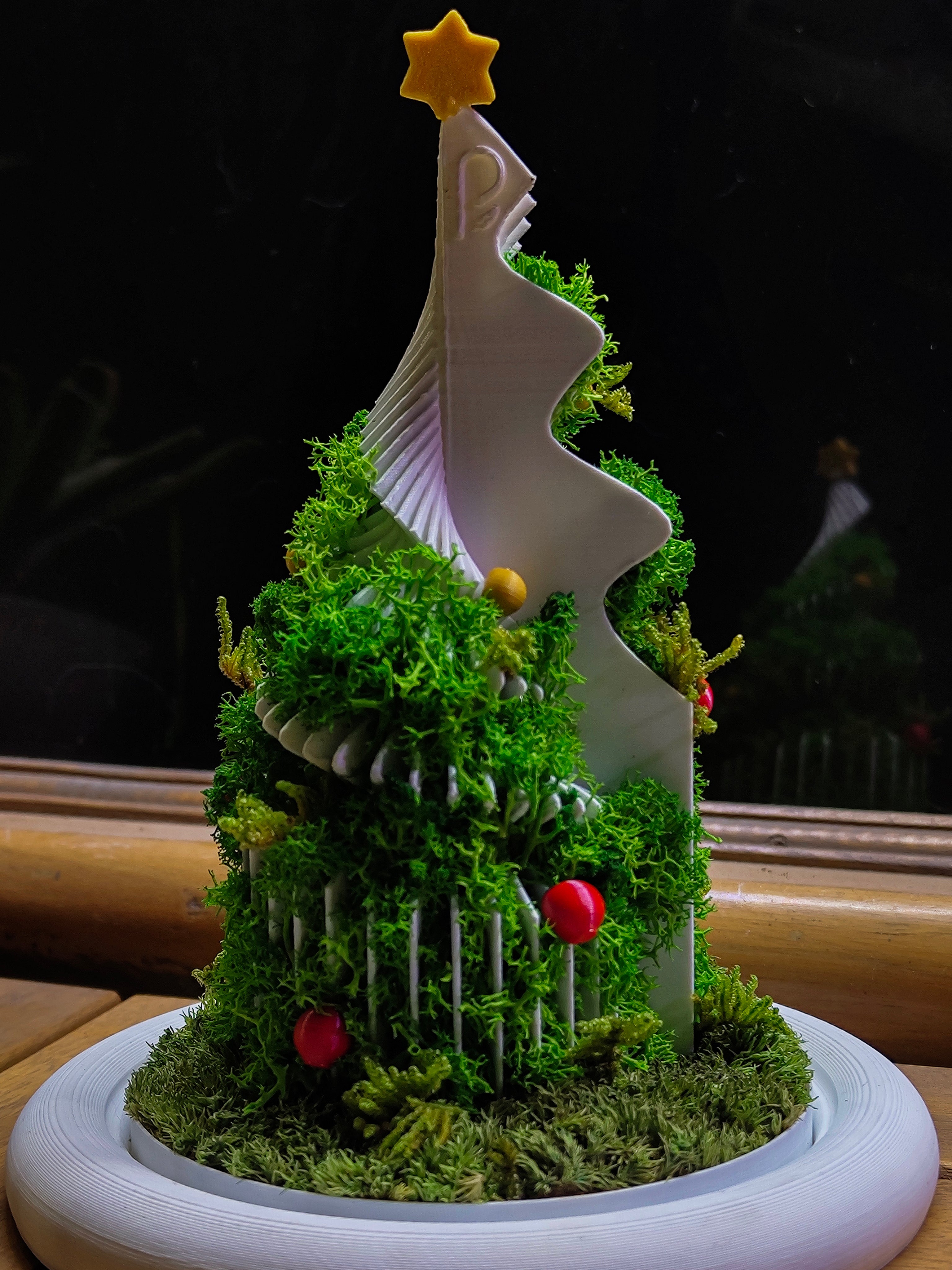 Christmas Dome - Perfect Terrarium