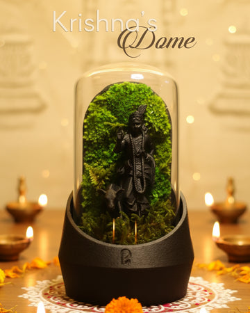 Krishna's Dome Terrarium