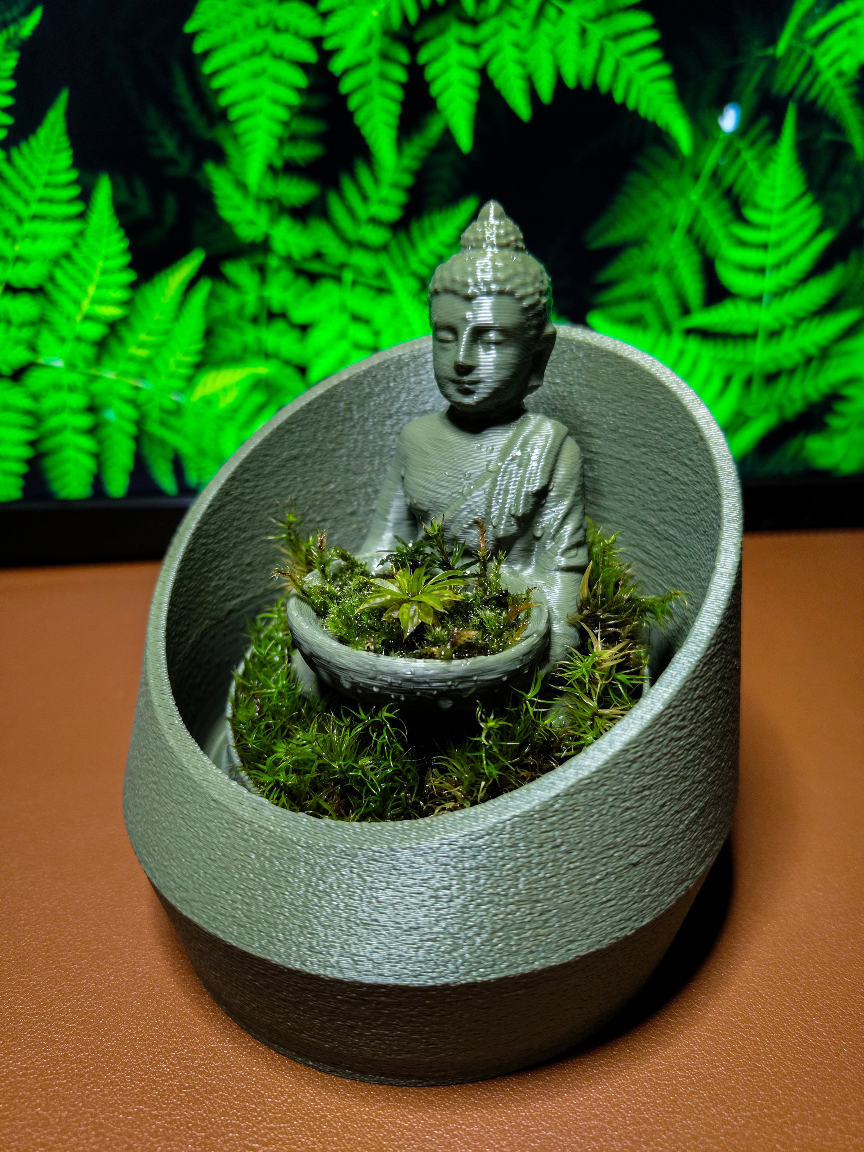 Buddha's Dome - Live terrarium