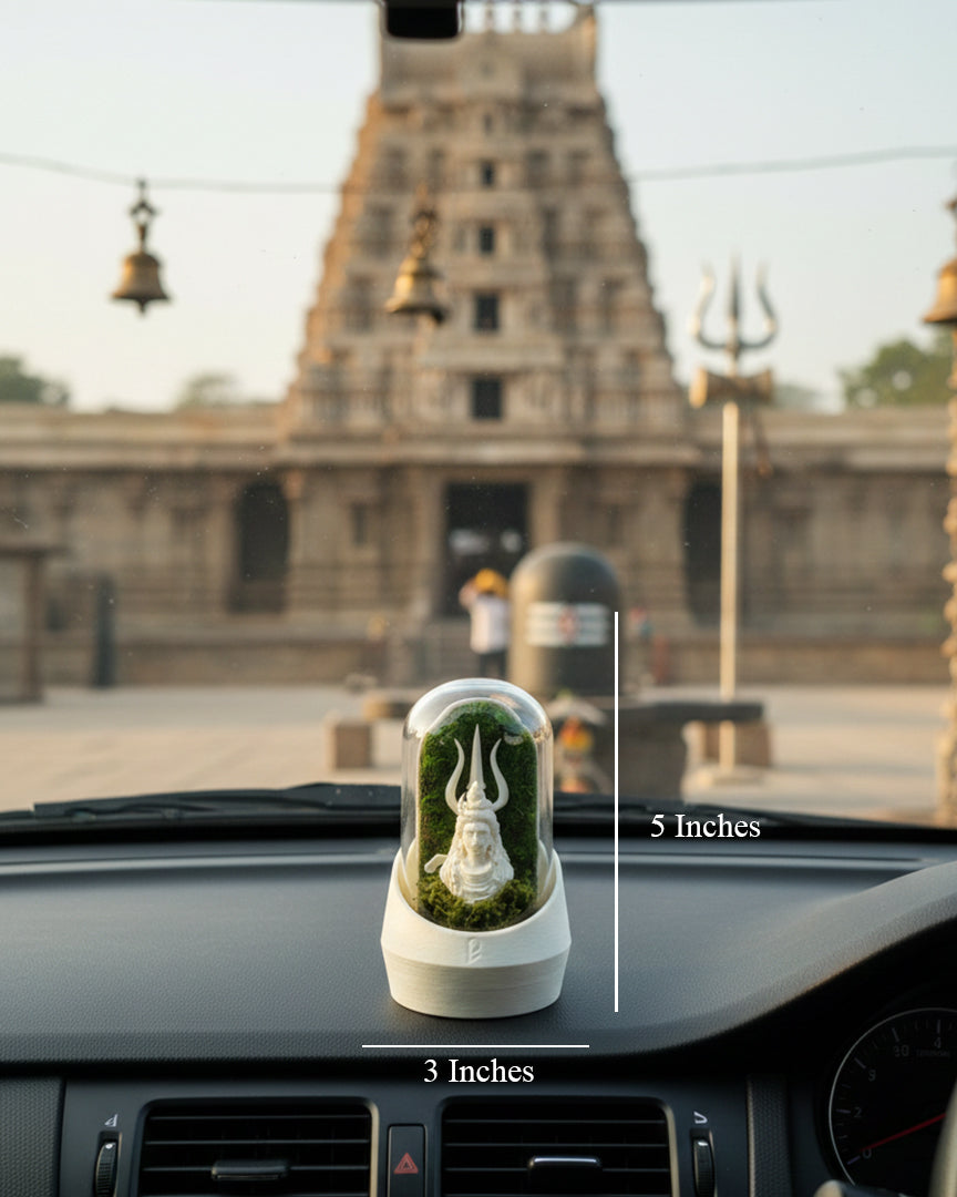 Aghori Mahadev's Car Dome with Aromatherapy Edition, featuring lush greenery and calming essential oils.