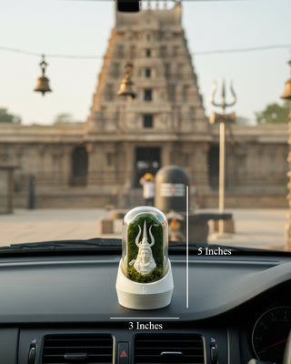 Aghori Mahadev's Car Dome with Aromatherapy Edition, featuring lush greenery and calming essential oils.