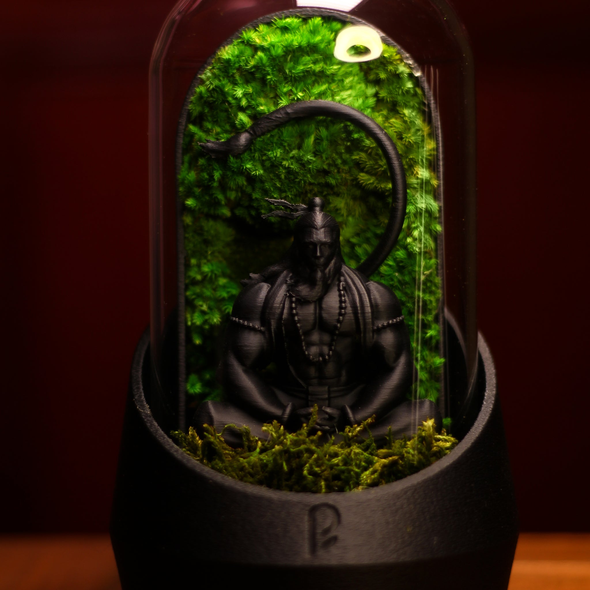 Hanuman's Dome Terrarium