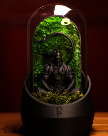 Hanuman's Dome Terrarium
