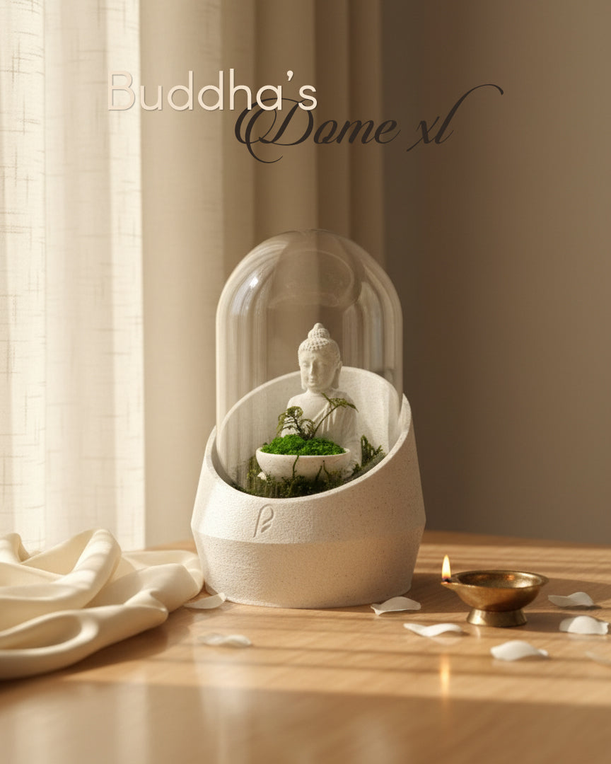 Buddha's Dome XL