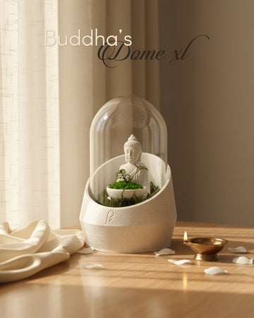 Buddha's Dome XL