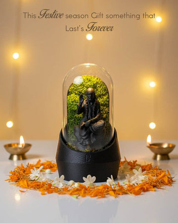 Sai Baba's Dome - Perfect Plants