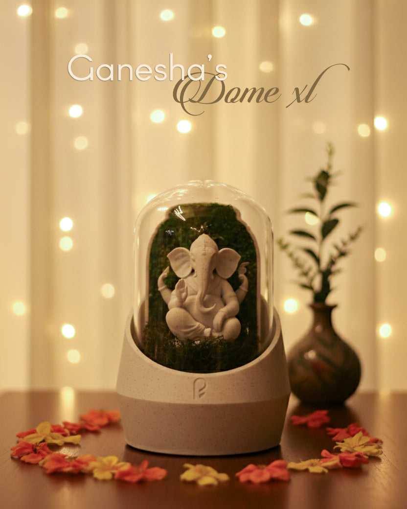 Ganesha's Dome XL