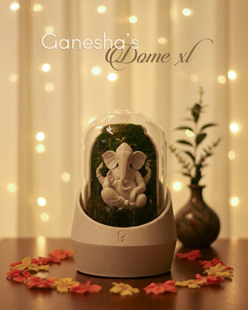 Ganesha's Dome XL