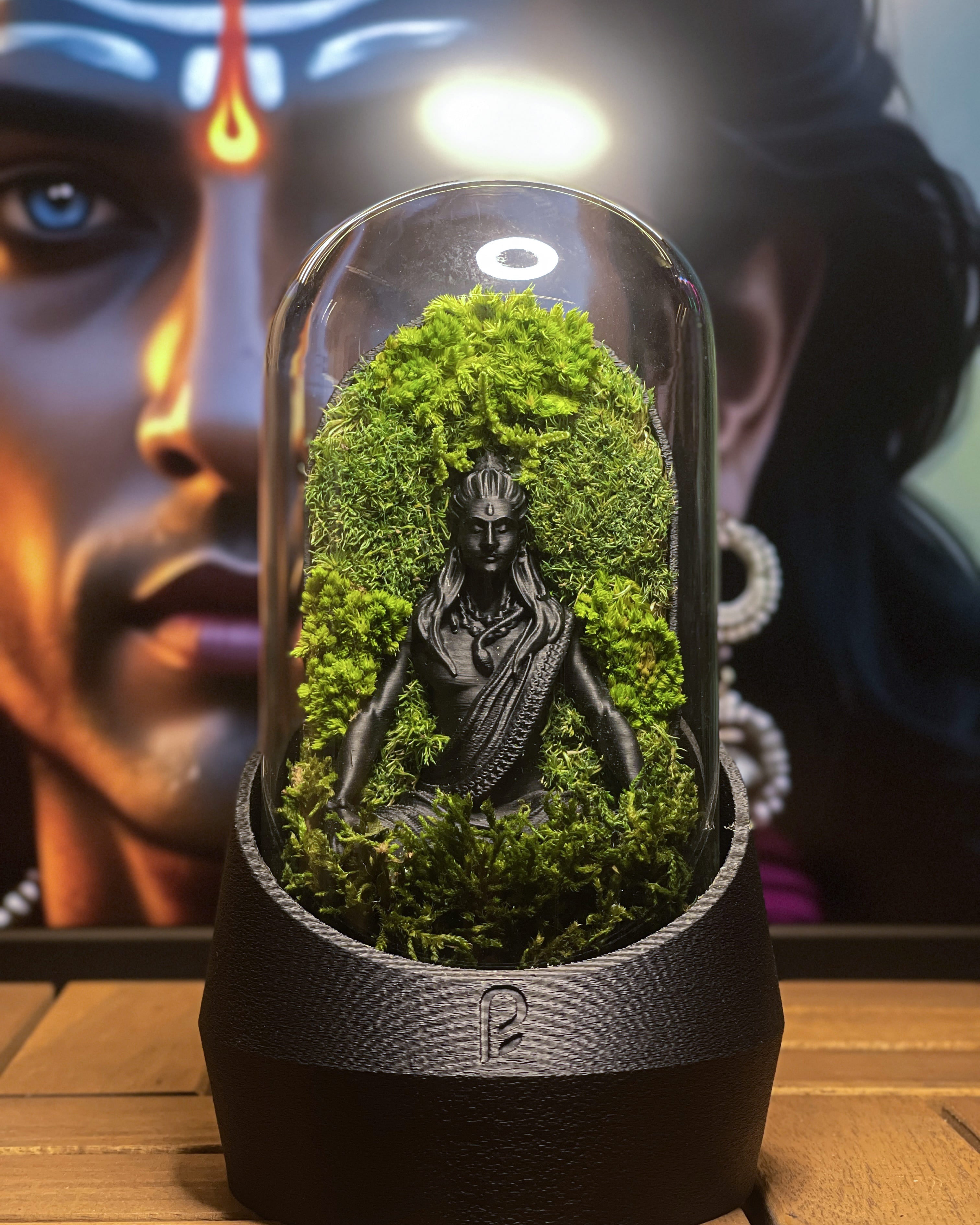 Shiva's Dome Terrarium