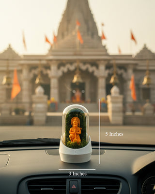 Bajrangbali's Car Dome with Aromatherapy Edition terrarium featuring vibrant plants and soothing scents.
