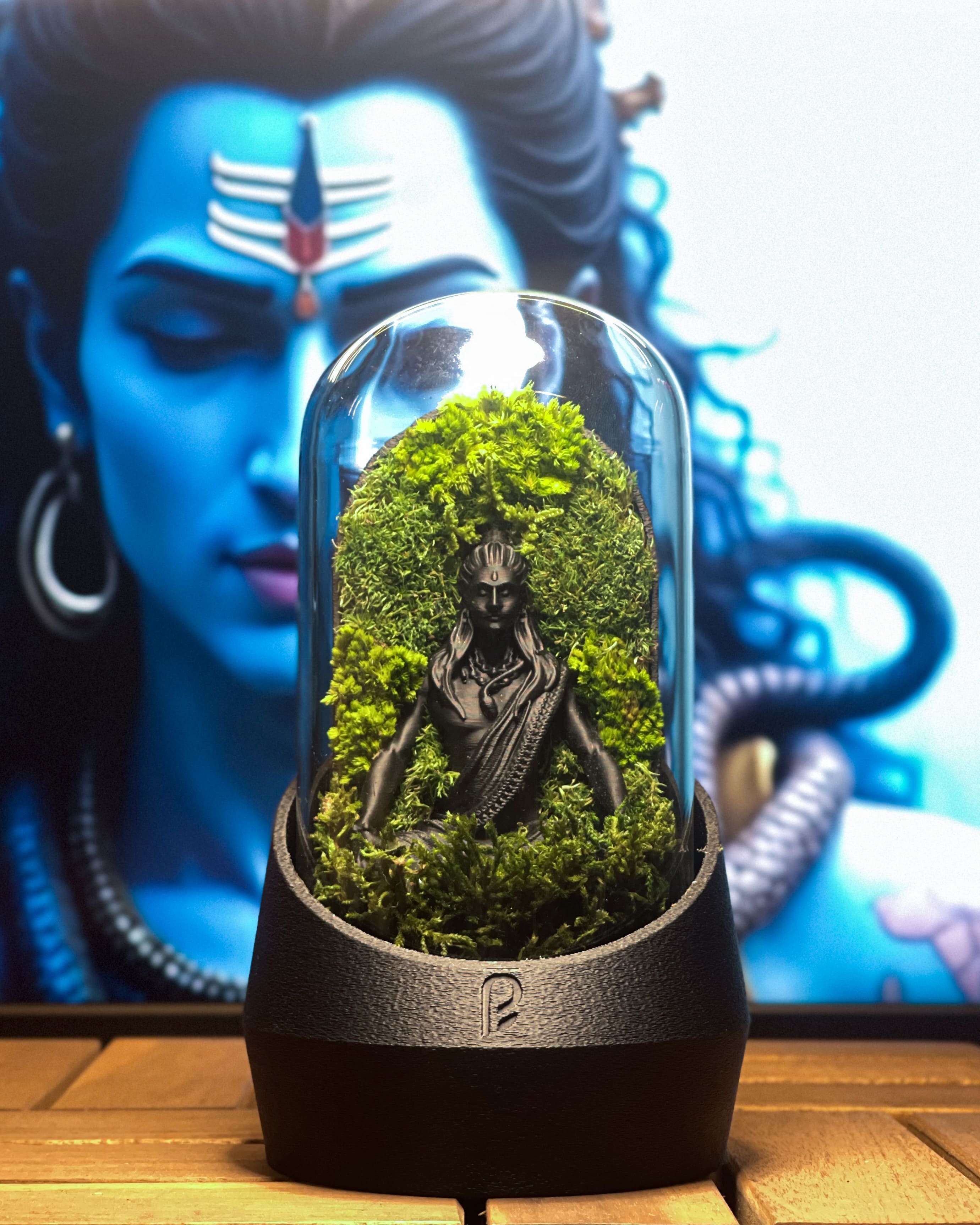 Shiva's Dome Terrarium