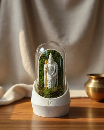 Murugan's Dome terrarium showcasing vibrant plants in a glass dome with decorative pebbles.