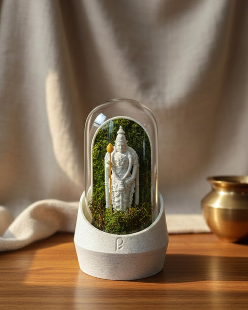 Murugan's Dome terrarium showcasing vibrant plants in a glass dome with decorative pebbles.