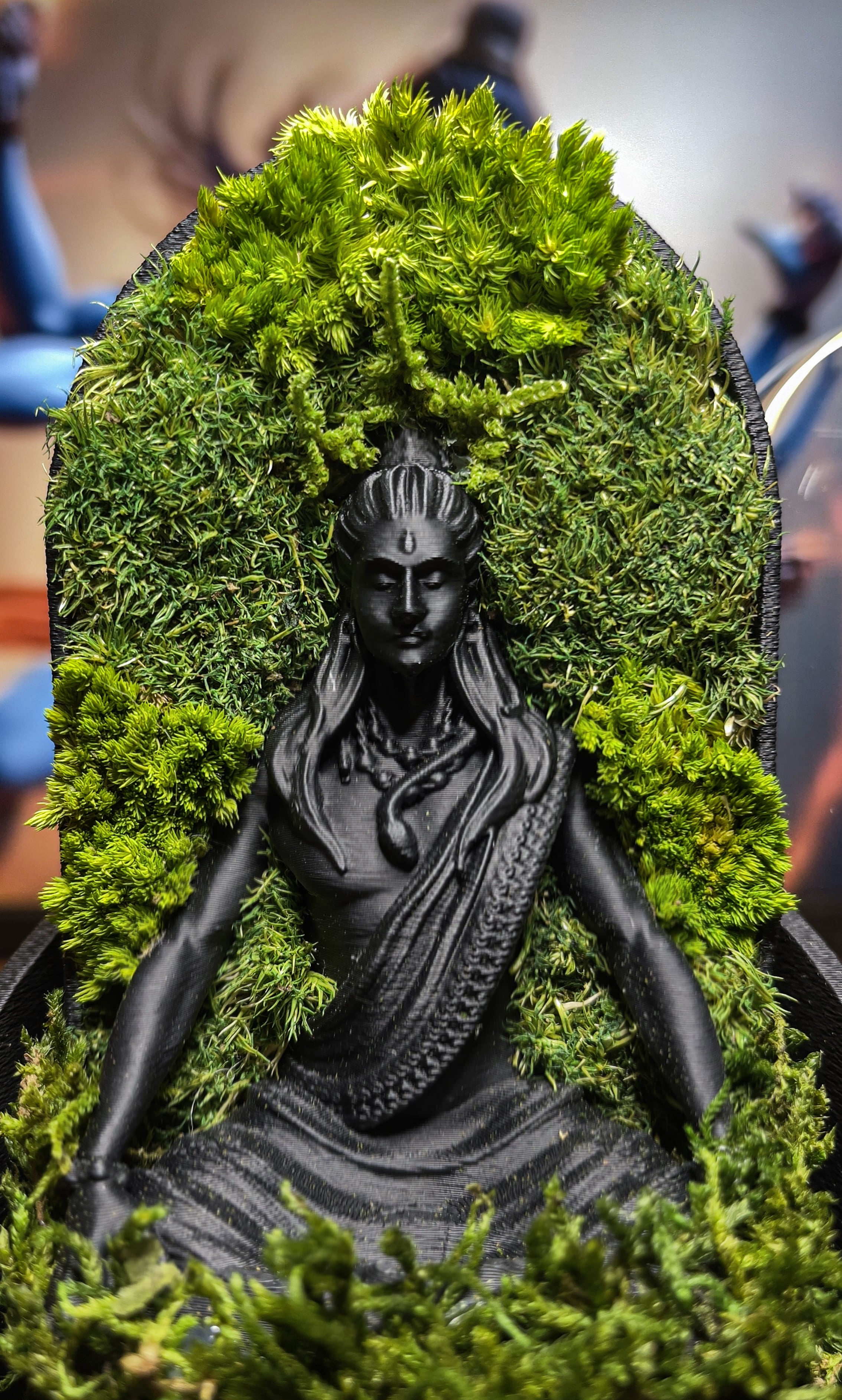 Shiva's Dome Terrarium