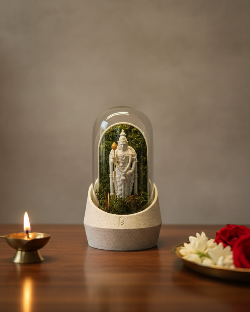 Full view of Murugan's Dome terrarium with lush greenery and artistic design elements inside the glass enclosure.