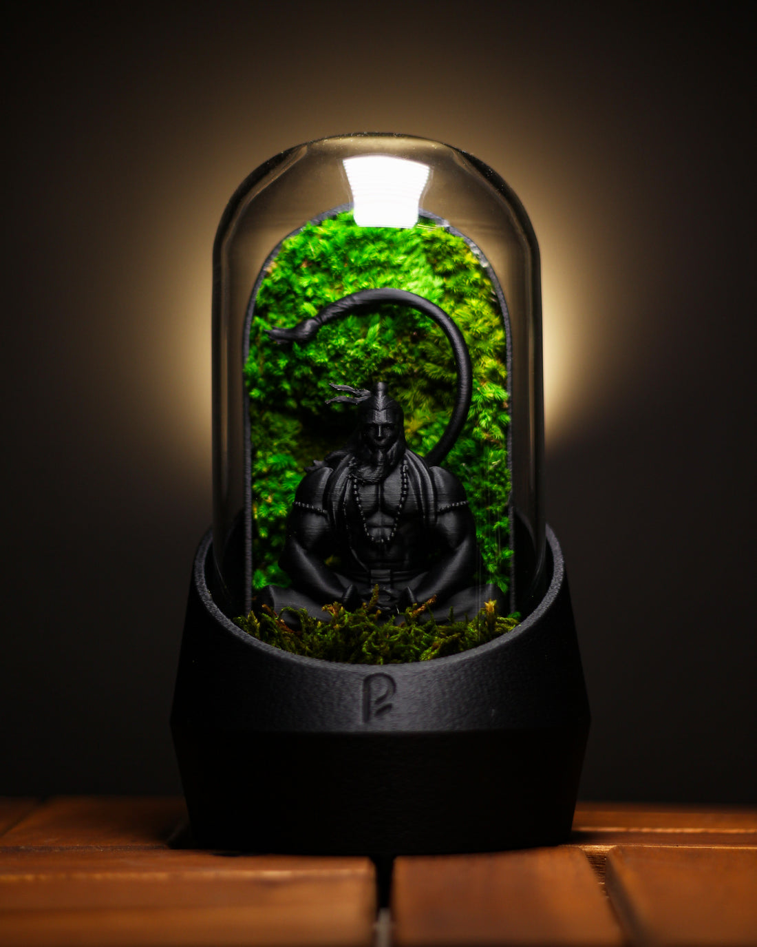 Hanuman's Dome Terrarium