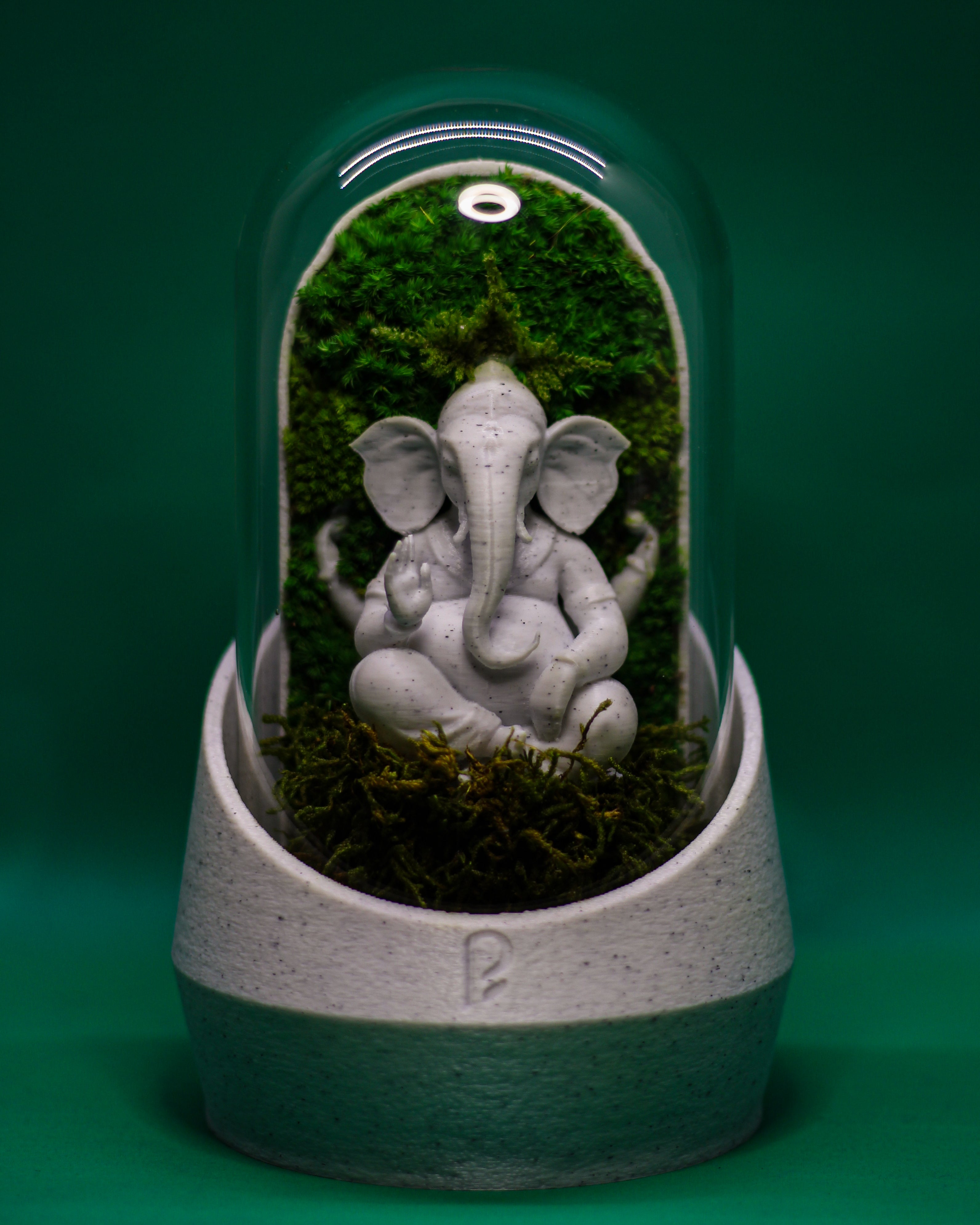 Ganesha's Dome Terrarium