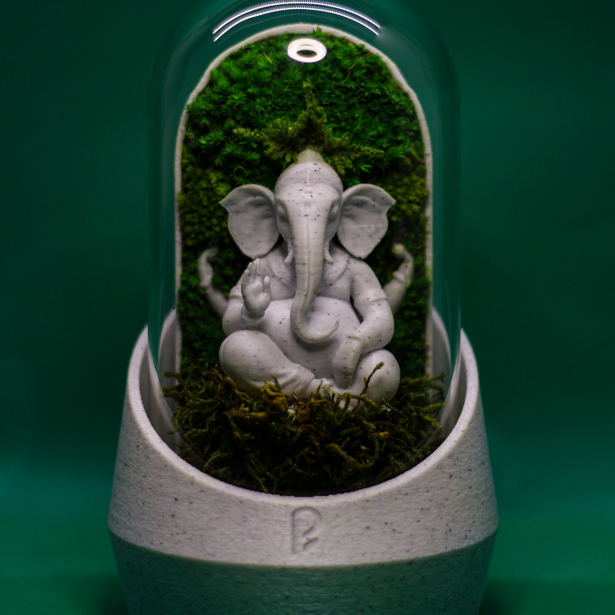 Ganesha's Dome Terrarium
