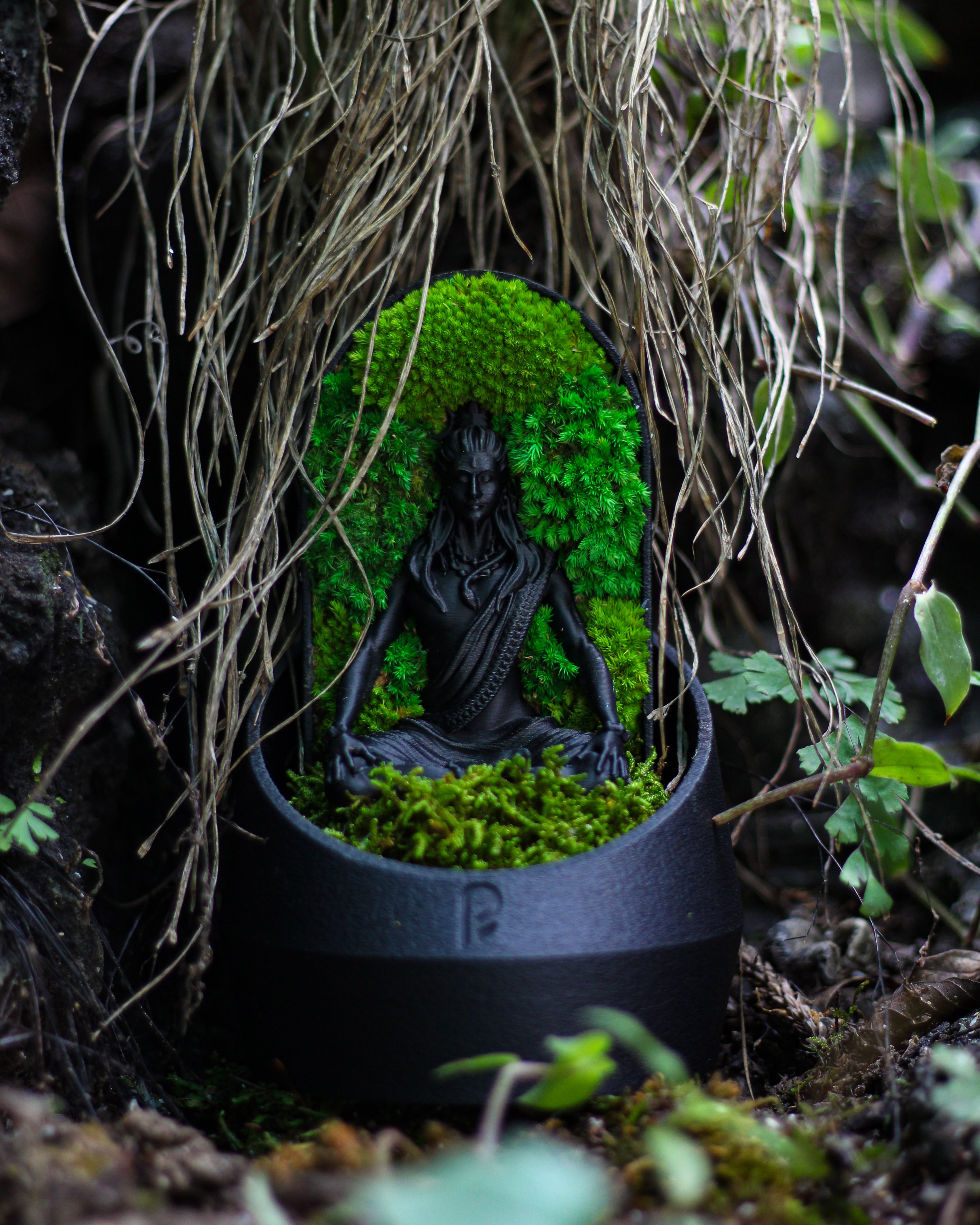 Shiva's Dome Terrarium