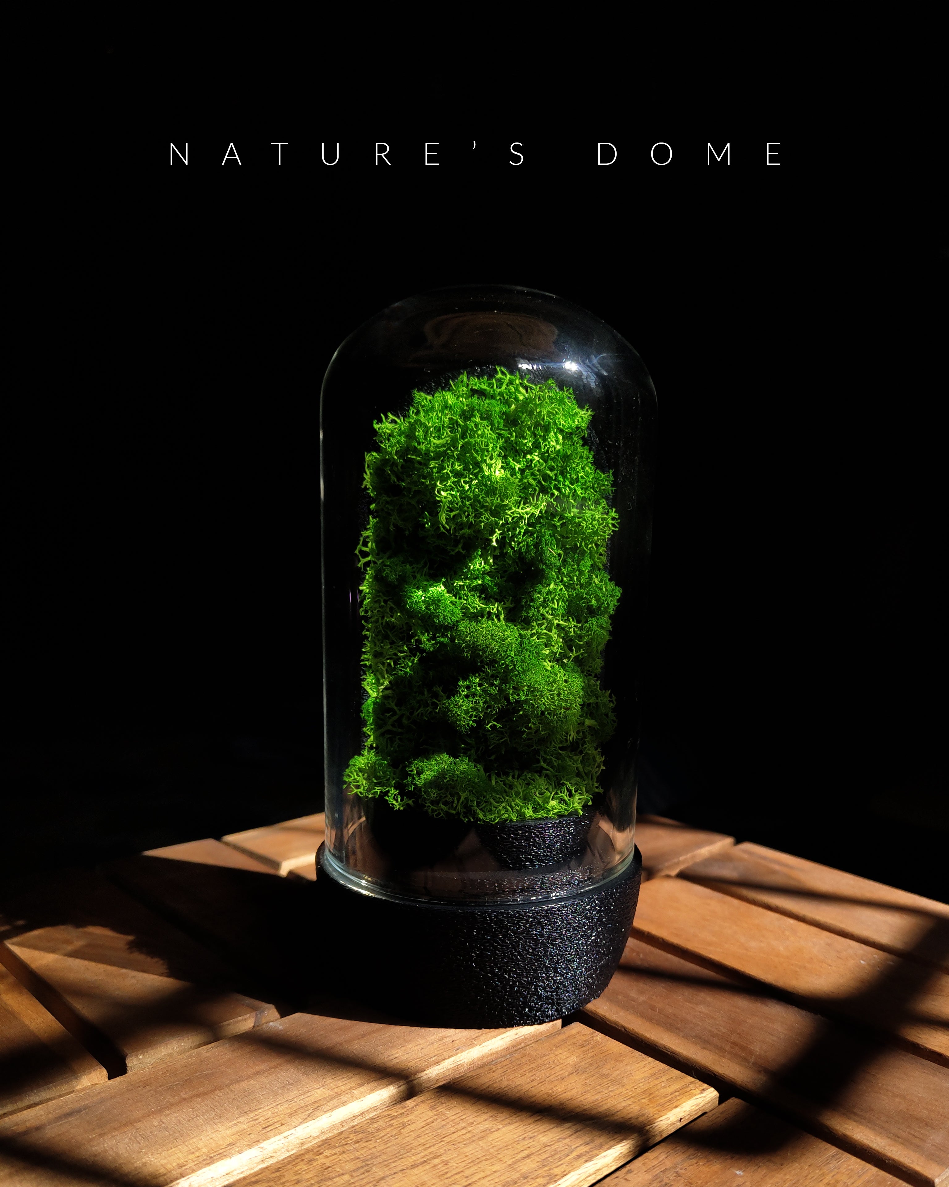 Nature's Dome - Perfect Terrarium