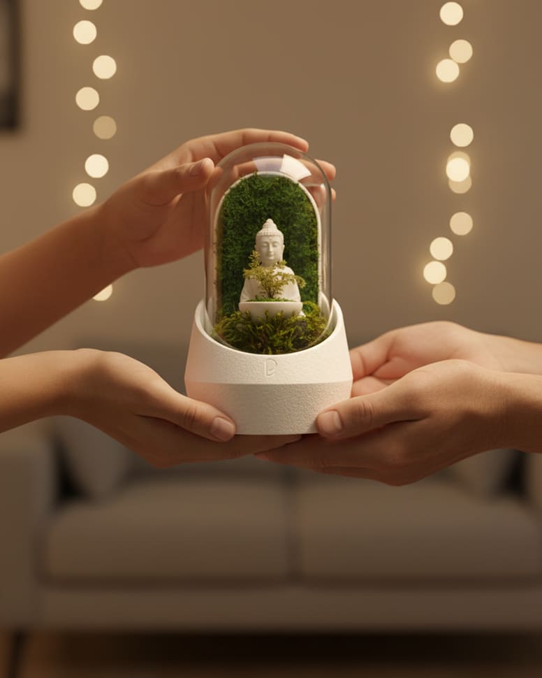 Calming Buddha's Dome