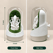 Ganesha's Dome - 5inch*3inch