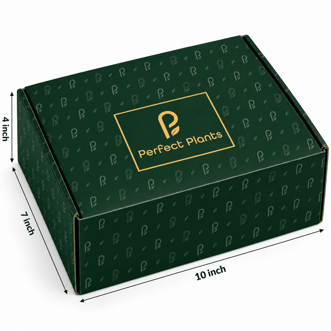 The Gift That Makes the First Impression