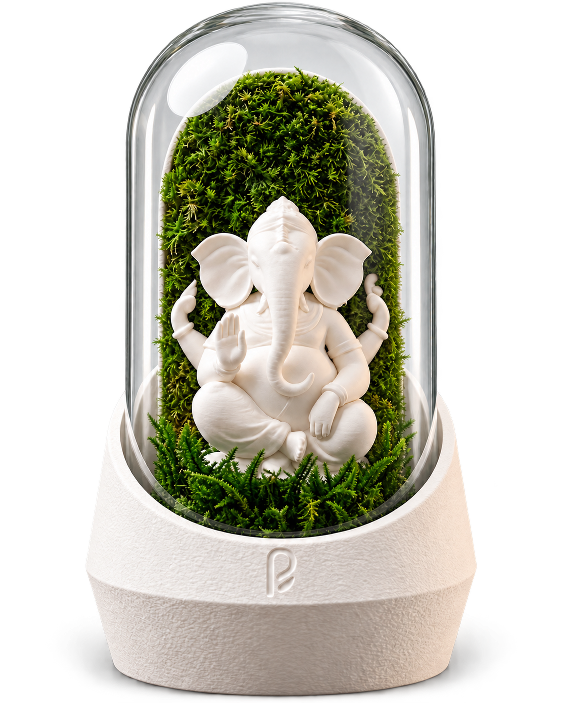 Preserved Moss Ganesha Mini Pod sample image
