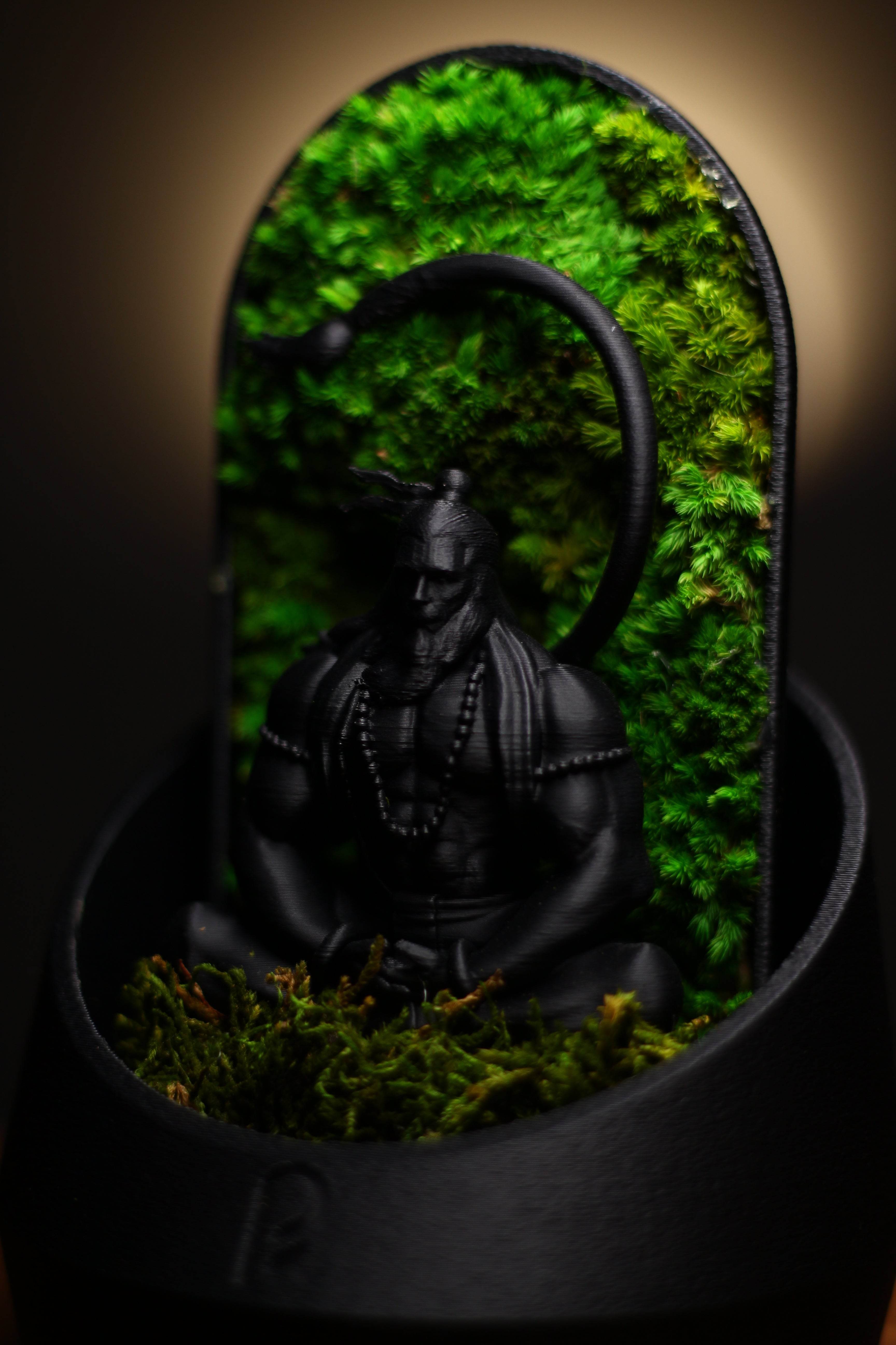 Hanuman's Dome Terrarium - Perfect Plants