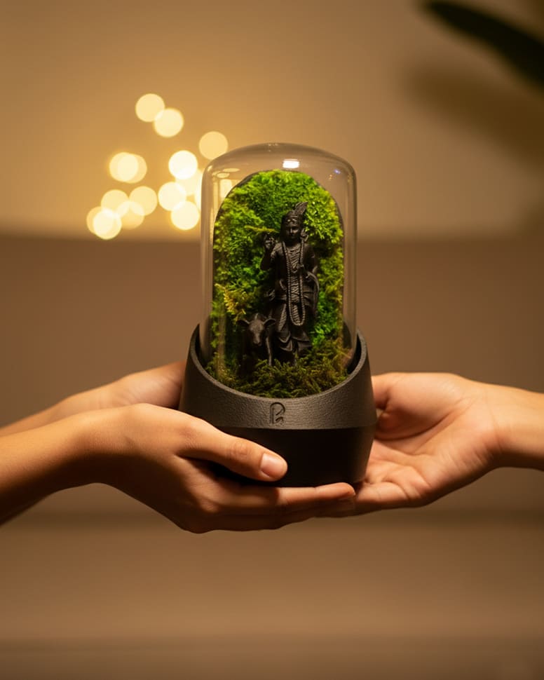Krishna's Dome Terrarium
