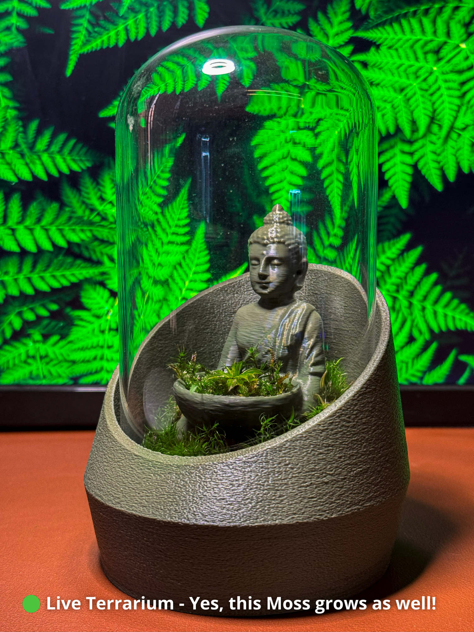 Buddha's Dome