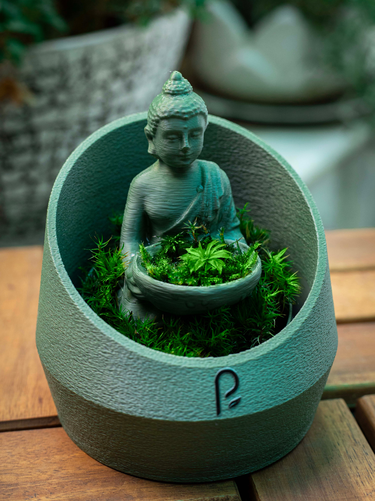 Buddha's Dome - Live terrarium