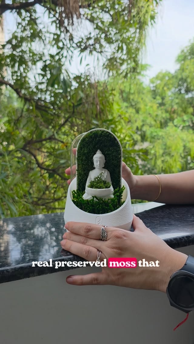 Customer experience · home dome