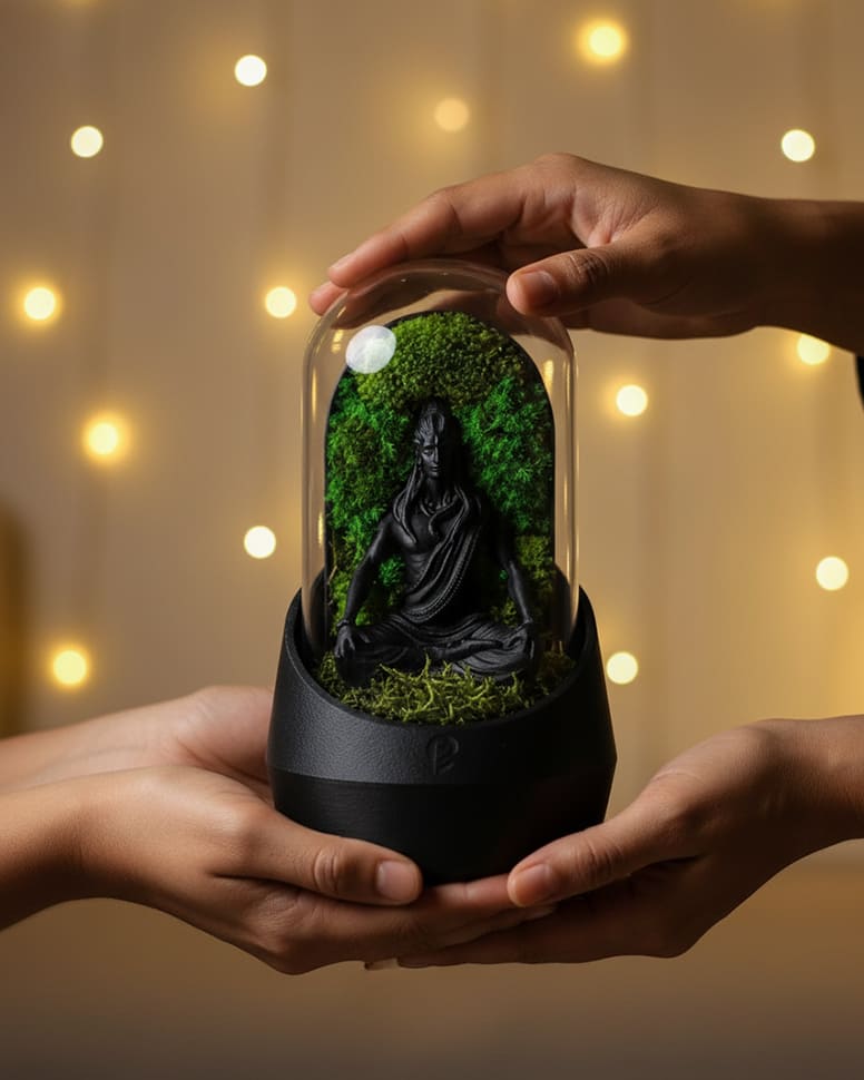 Shiva's Dome Terrarium