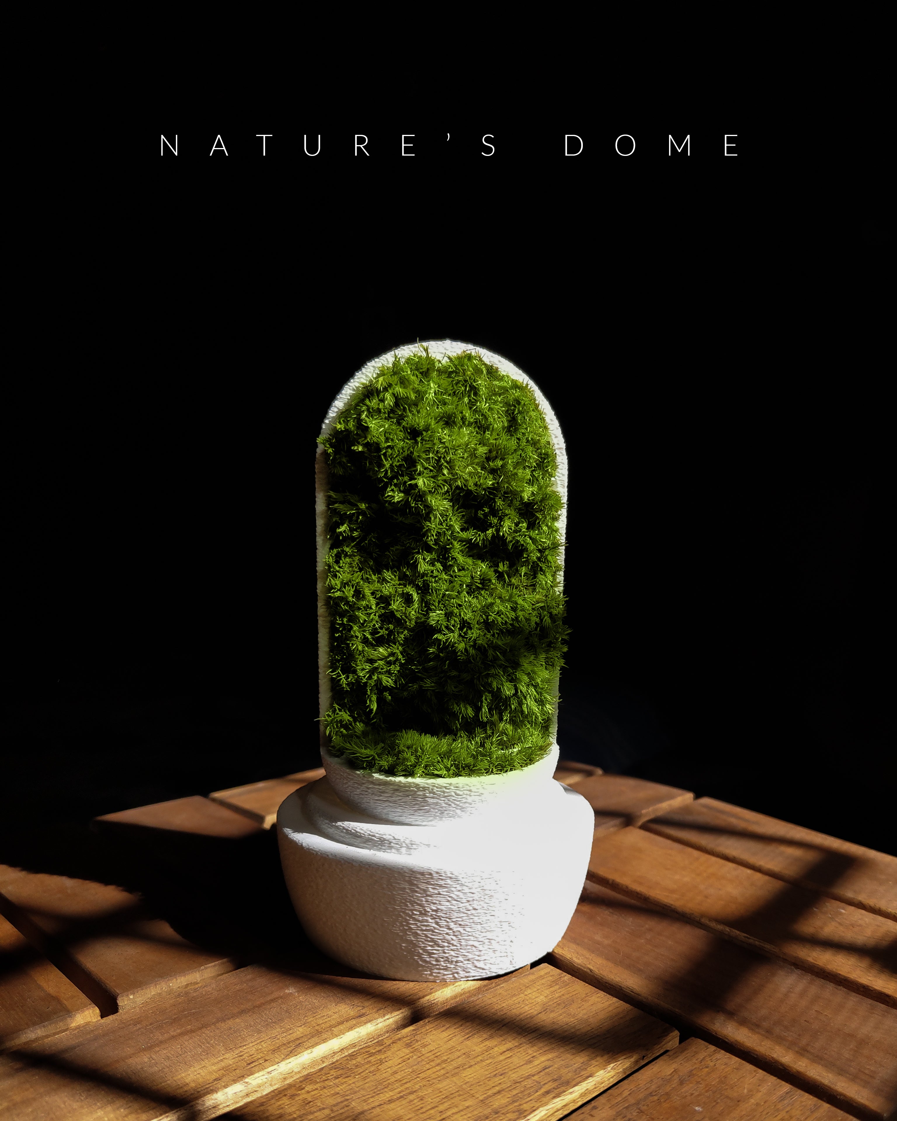 Nature's Dome - Perfect Terrarium