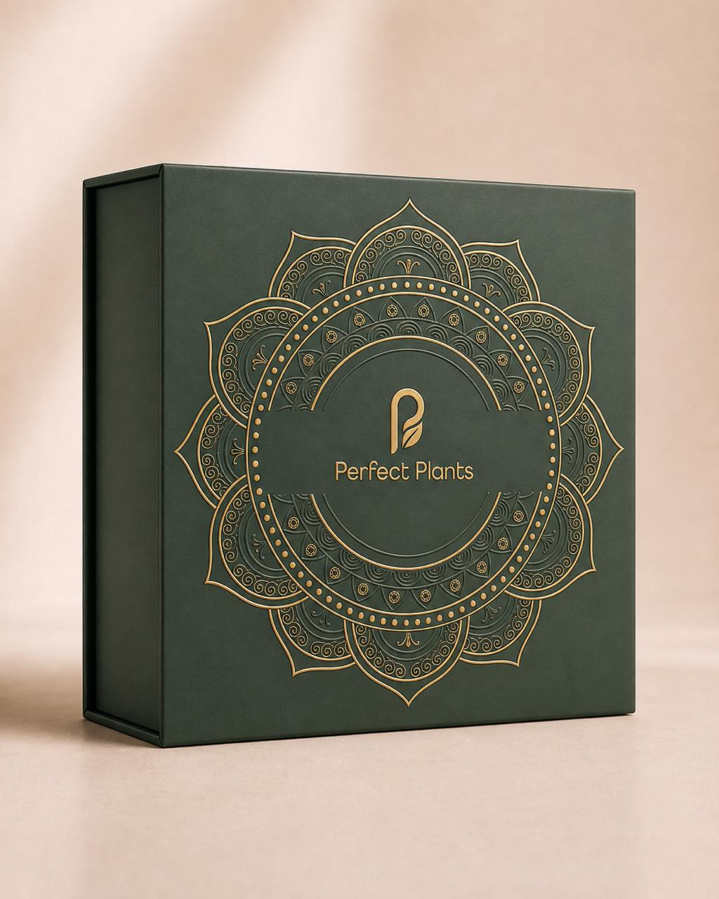 Diwali Box