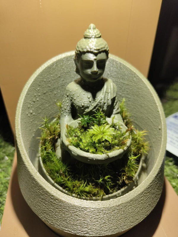 plants of gods terrarium Jesus's Dome Terrarium - Timeless Faithful Elegance