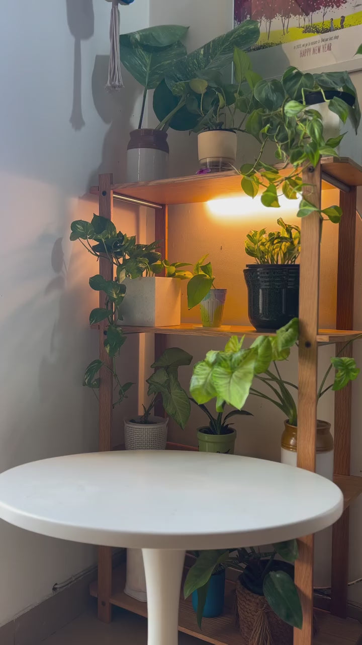 “Finally, Décor That Feels Meaningful”