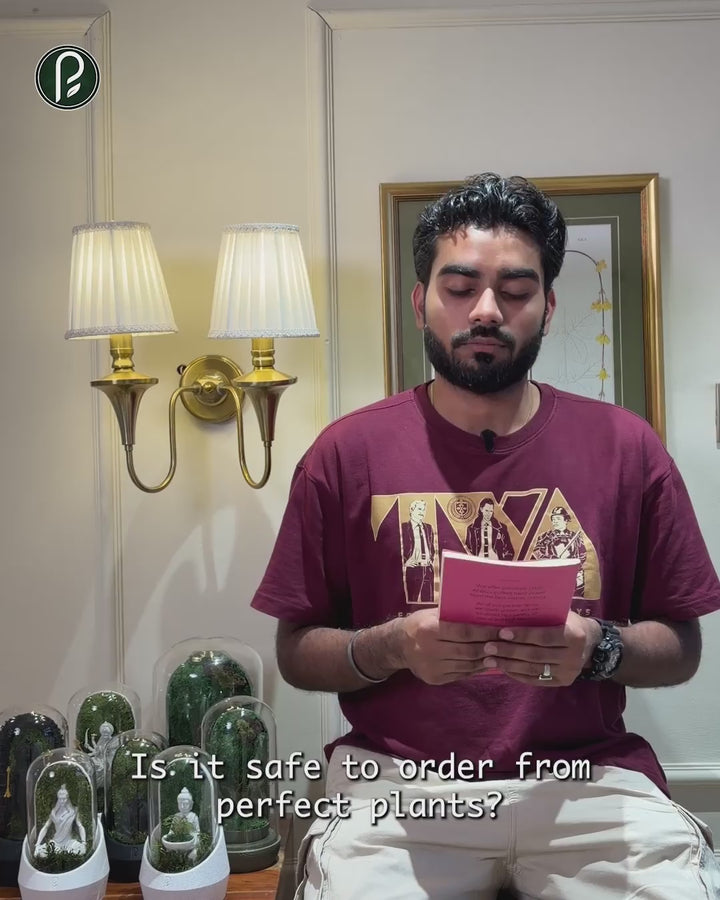 Who is behind Perfect Plants?