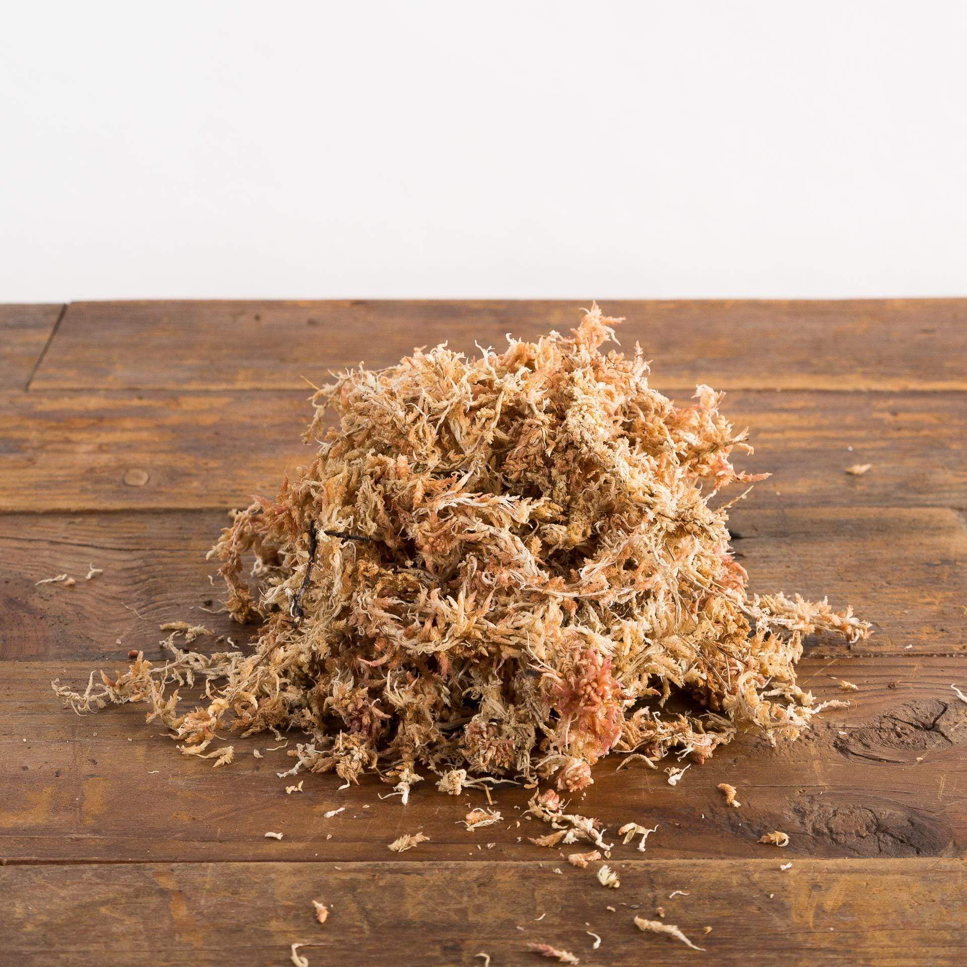 Dried Sphagnum Moss- Semi Wet