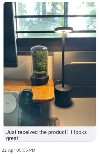 Customer WhatsApp message with a dome photo and appreciation after delivery