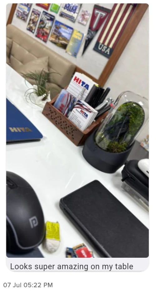 Customer WhatsApp message showing a dome on a desk and appreciating how it looks